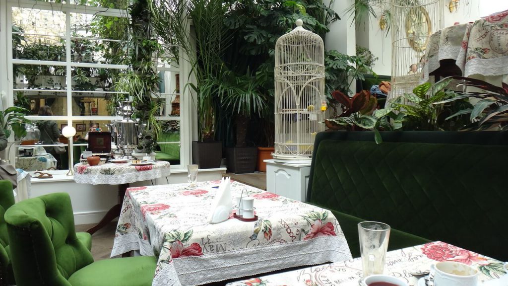 w domu jak w dżungli