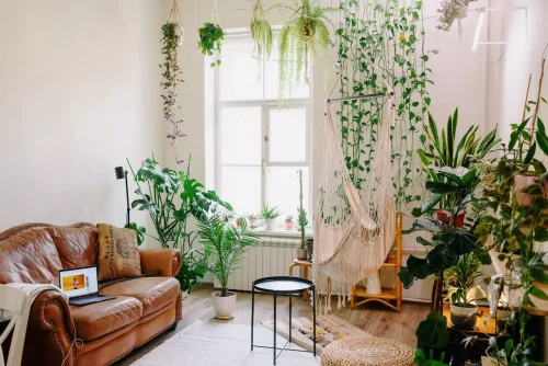 Jak urządzić salon w stylu boho: Inspirujące pomysły dla Twojej przestrzeni